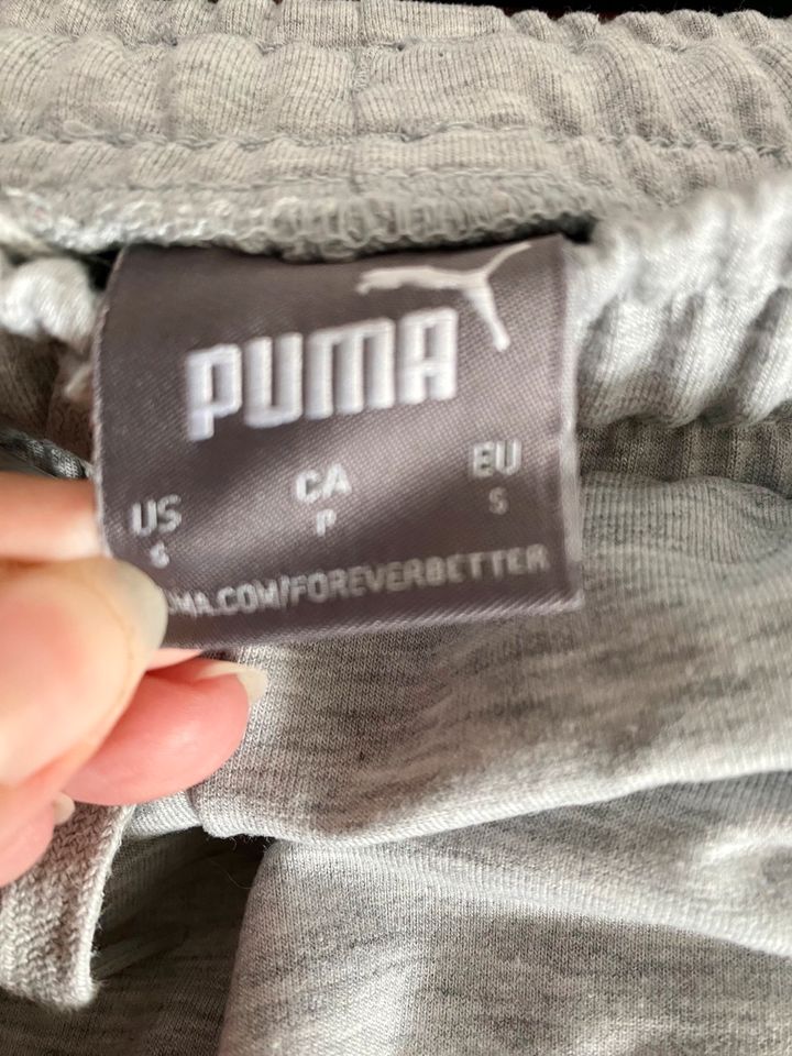 PUMA Damen Shorts in Hellgrau Gr.S (36) in Stuttgart