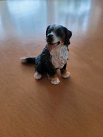 Schleich Hund Berner Sennenhund sitzend Tier Niedersachsen - Rotenburg (Wümme) Vorschau