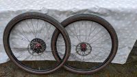 Tune King und King Kong Nabe Stans Notubes Crest Sram Bayern - Heinersreuth Vorschau