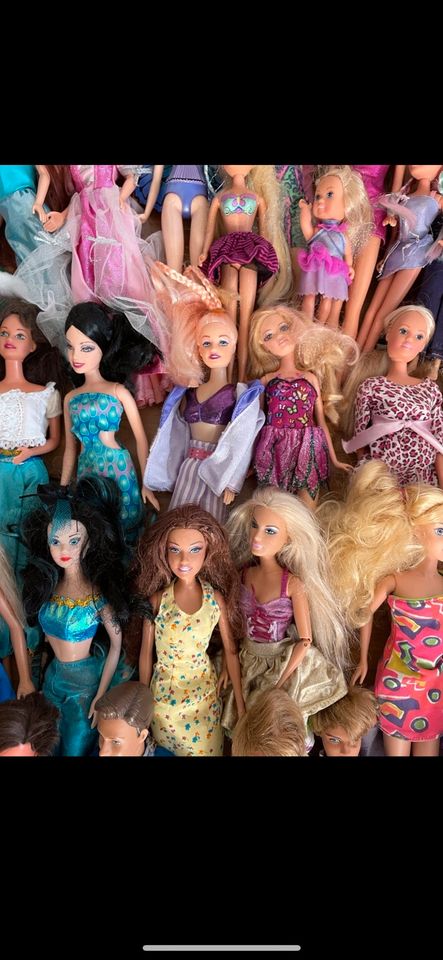 XXL Barbie Sammlung in Espelkamp
