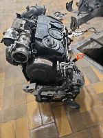 Vw Golf Motor 1.9 BLS Schlachtfest Ersatzteile Ausschlachten Niedersachsen - Westerwalsede Vorschau