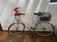 Damen Fahrrad Hessen - Hofgeismar Vorschau