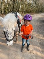 Ponyführen - Ausritte Saarland - Neunkirchen Vorschau