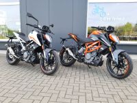 KTM 390 Duke weiß + orange verfügbar Brandenburg - Oranienburg Vorschau