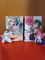 Mangas Sugar Apple Fairy Tale und Die Hexe und ihr Drache Hessen - Petersberg Vorschau