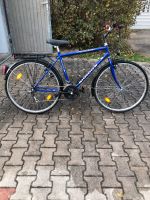 Trekking Fahrrad Herren Bayern - Cham Vorschau