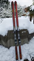 Elan PSX Carving Ski Schleswig-Holstein - Bordesholm Vorschau