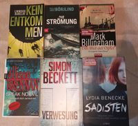 12 Romane/Thriller Bücher Autoren B-E Rheinland-Pfalz - Bellheim Vorschau