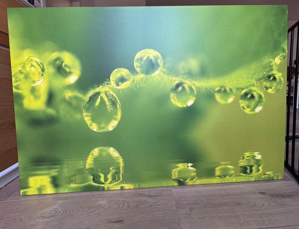 Bild, Fotodruck auf Leinwand 120 x 80 cm, sehr guter Zustand in Halle