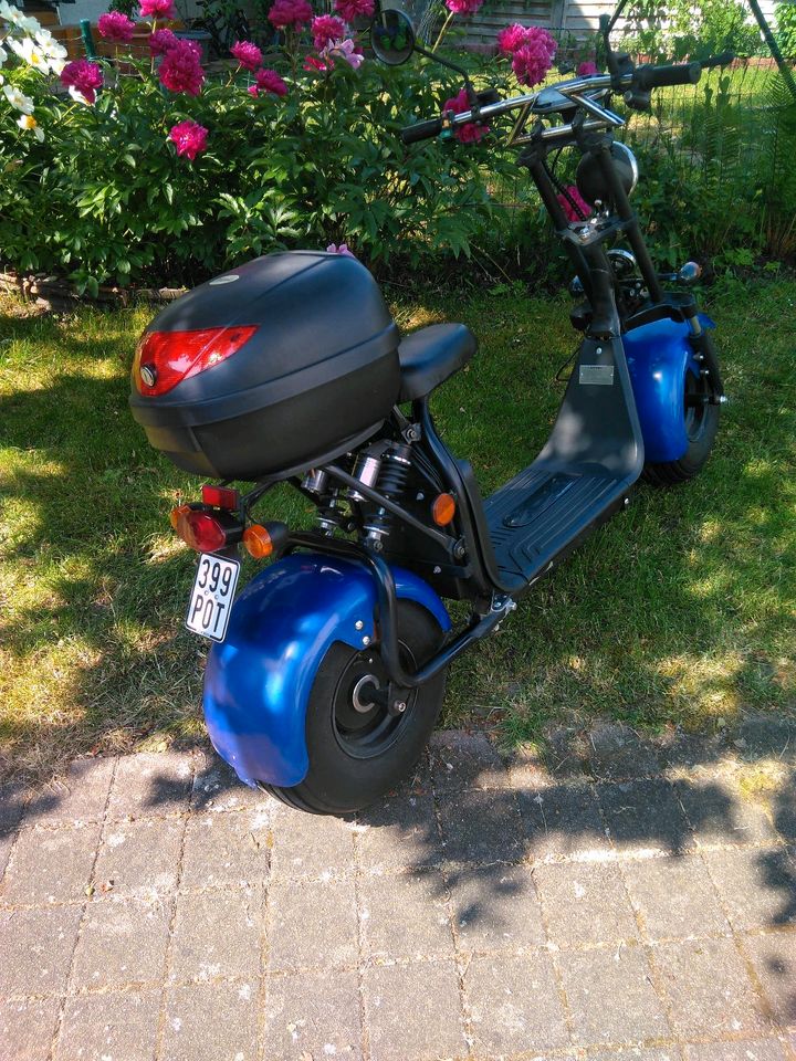 Stylischer Elektroroller/Scooter in Burghausen