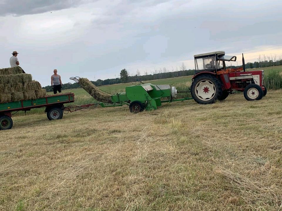 Stroh und Heu Pressen in Bismark (Altmark)