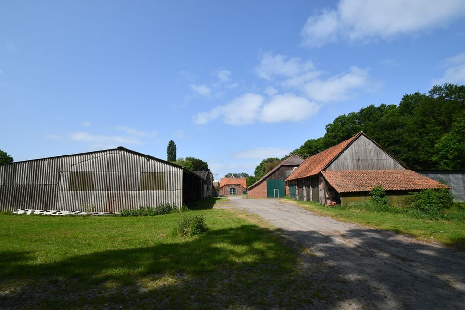 Repräsentative Hofanlage mit Nebengebäuden und ca. 17,5 ha. in traumhafter Alleinlage in Twistringen