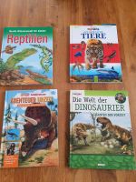 Bücher Dinosaurier, Reptilien, gefährliche Tiere je Buch 1,50€ Bayern - Grafenwöhr Vorschau