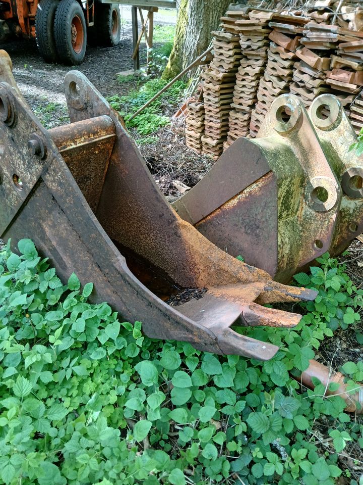 Fuchs Bagger in Erlenbach bei Dahn