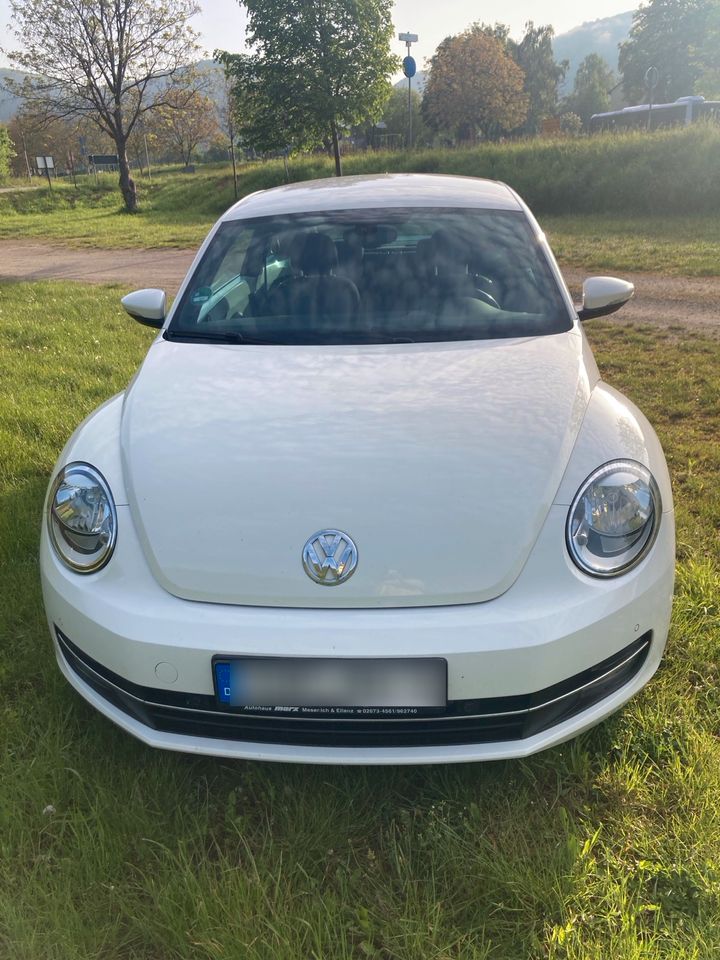 VW Beetle 2.0 TDI in Bruttig-Fankel