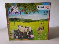 Schleich Horse Club Waschplatz 42104 Barrel racing Cowgirl 42417 Niedersachsen - Delligsen Vorschau