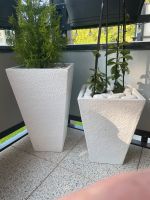 Blumentopfe /sehr massiv/H54 / B32/H40/B30 mit Inhalt Bochum - Bochum-Ost Vorschau