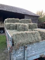 Heu HD Kleine Ballen aus 09.24 Niedersachsen - Hemslingen Vorschau