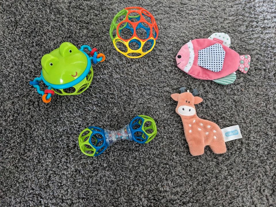 Diverses Babyspielzeug Sterntaler, VTech, Oball etc. in Steinhagen