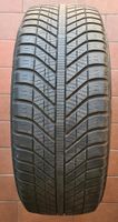 *205/55 R16 94V*  2x Allwetterreifen GoodYear Vector 4 Seasons Brandenburg - Rathenow Vorschau