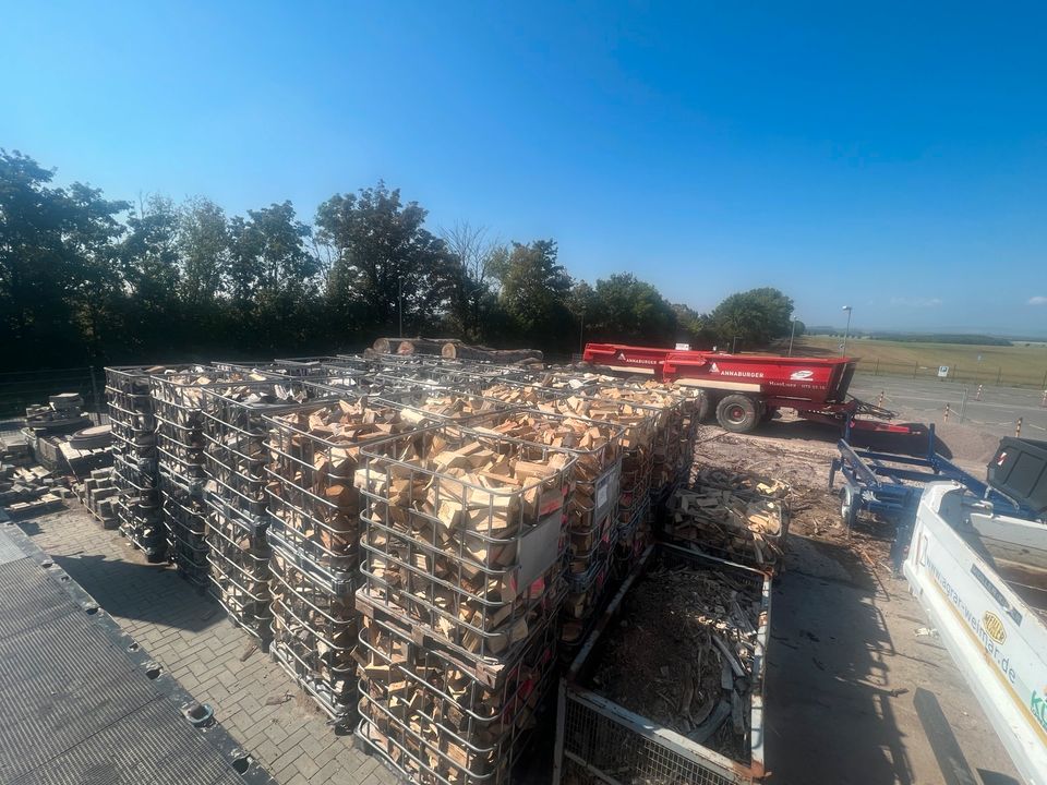 Lohnspalten Holz Brennholz Minibagger Kegelspalter Feuerholz in Am Ettersberg