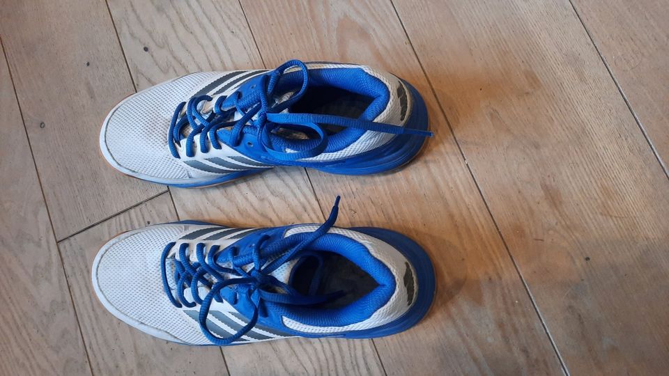 Sportschuhe Turnschuhe Adidas Größe 42 in Heuchelheim