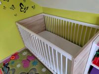 Babybett/Kinderbett von Paidi Typ Tore "ohne Matratze" Arnsdorf - Fischbach (Arnsdorf) Vorschau