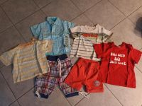 T Shirt, kurze Hosen Gr.80  Set Nordrhein-Westfalen - Greven Vorschau