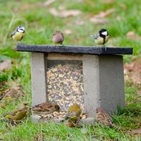 Bodenfutterstation von Vivara Nordrhein-Westfalen - Iserlohn Vorschau