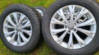 Neuwertig 17 Zoll Original VW Tiguan II Felgen Winterreifen Nordrhein-Westfalen - Marl Vorschau