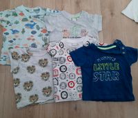 T-Shirt Shirts 74 Set H&M Rheinland-Pfalz - Hahnheim Vorschau