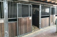 14 Pferdeboxen inclusive Hartholz mit Massiver Konstruktion Niedersachsen - Wildemann Vorschau