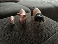 Schleich Schweine Nordrhein-Westfalen - Mönchengladbach Vorschau