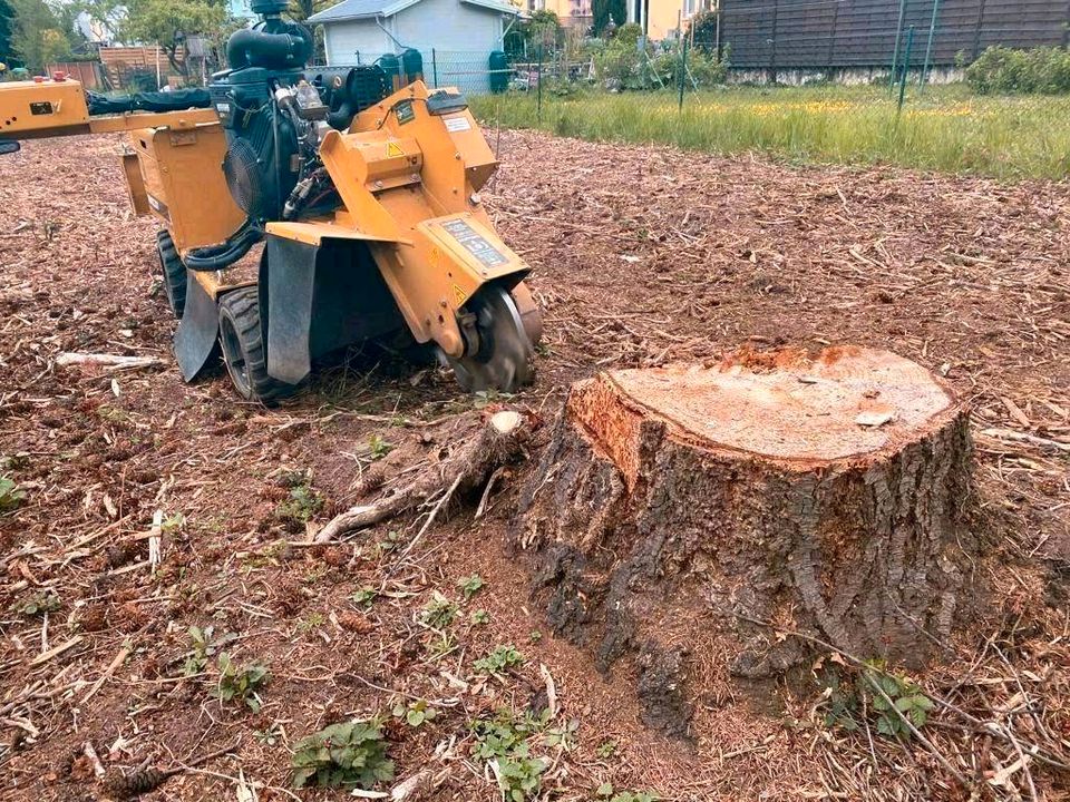 ❗Baumfällungen, Sturmschaden, Giebelung, Fräsarbeiten, Häckseln❗️ in Tholey