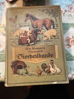 Buch Dr. Lampes illustrierte Tierheilkunde Halenbeck-Rohlsdorf - Brügge Vorschau