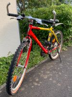 Mountain-Bike Marke Vector 26‘er Größe Dresden - Südvorstadt-Ost Vorschau