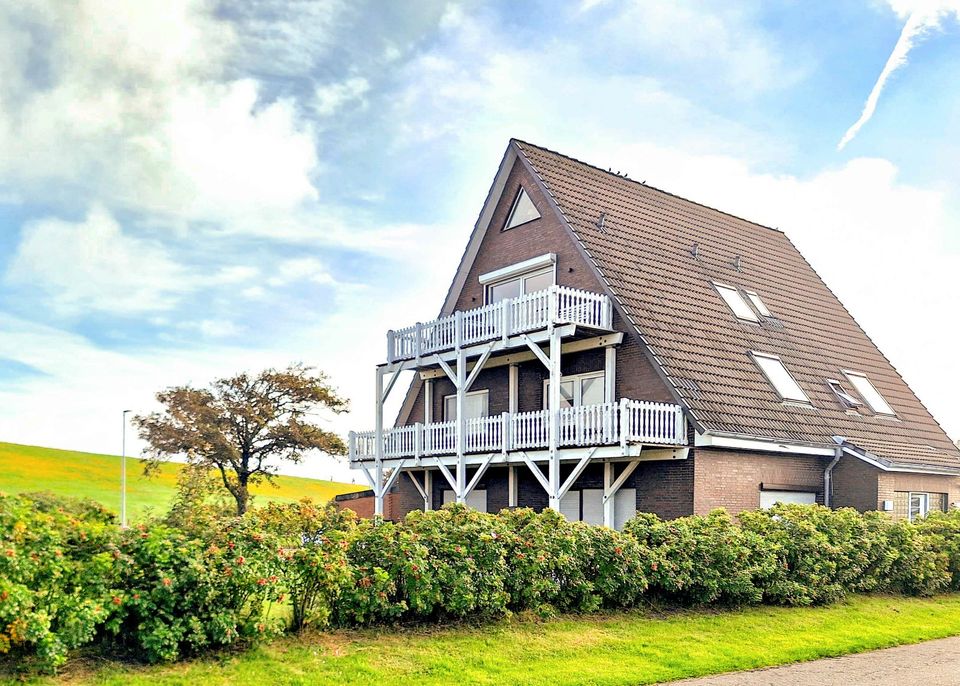 Nordsee Pur | Ferienwohnung in direkter Deichlage | W-02T3TS | Friedrichskoog-Spitze (Dithmarschen) in Friedrichskoog