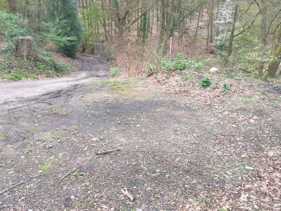 Fläche zur Bienenhaltung Gartenstück Garten in Hagen