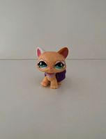 Littlest Pet Shop Katze #626 Spielfigur / Sammelfigur LPS Hessen - Hanau Vorschau