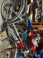 Fahrräder zu verkaufen Hessen - Dillenburg Vorschau