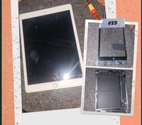 iPad 5/6/7/8/9/10/11/Pro/Mini/Air Reparatur Niedersachsen - Edewecht Vorschau