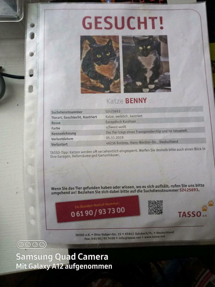Benny seit 5 Jahren vermisst/verschwunden in Bottrop
