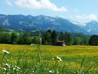 Ferienwohnung Allgäu ⭐️ 4km v. ⭐️ Oberstdorf ⭐️ Chri.Himmelfahr⭐️ Bayern - Sonthofen Vorschau