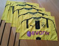 BVB Borussia Dortmund Fahne Wandsbek - Hamburg Lemsahl-Mellingstedt Vorschau