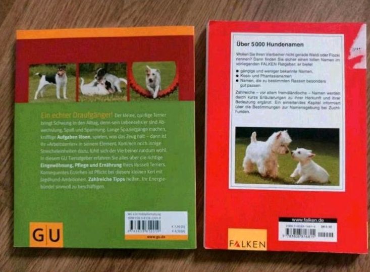 Parson und Jack Russell Terrier, Fachbuch + Hundenamen Buch, Set! in Coswig