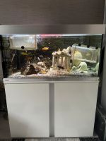 Aquarium Eheim 250l Essen - Steele Vorschau