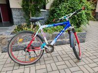 Ruddy Dax Fahrrad / MTB / 26 Zoll / 21 Gang, Shimano / ALU 7005 Sachsen - Zwickau Vorschau