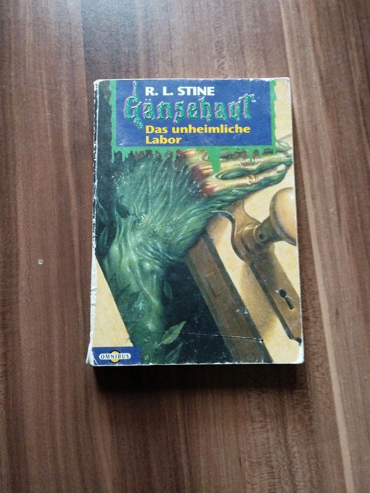 R.L. Stine " Gänsehaut Grusel Romane " , 7 x , Omnibus Verlag in Versmold