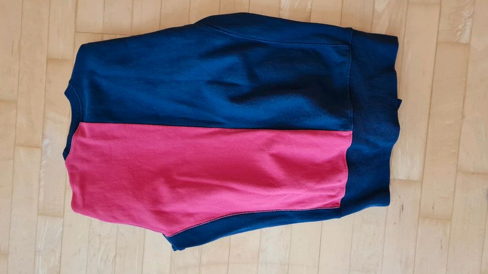 Champion Pullover in Vohenstrauß