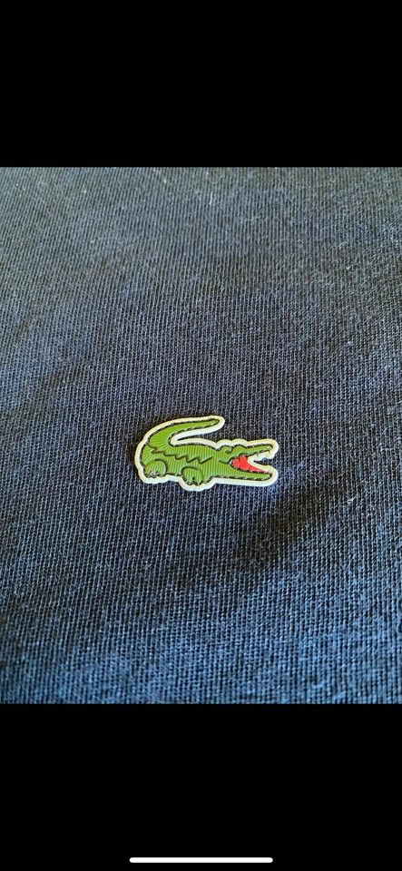 Lacoste T-Shirt in Moers